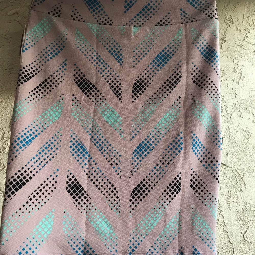 Pink LuLaRoe Cassie skirt